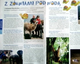 Z żółwiami pod wodą