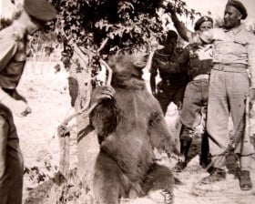 Wojtek i Piotr Prendysz